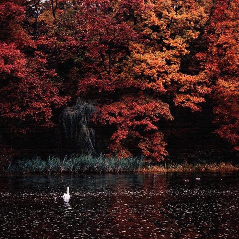 Autumn Hues cover art