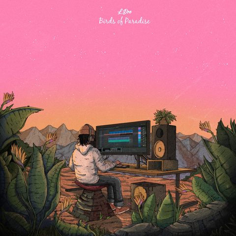 Birds of Paradise cover art