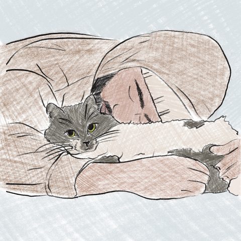 cat therapy cover art