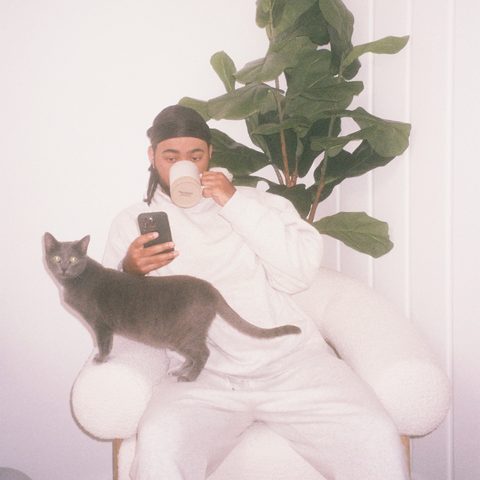 for all the cats cover art