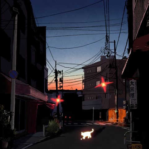 Night Cat cover art